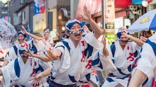 いろは連 高円寺阿波おどり 2015