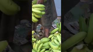 Banana Process #meherpur #meherpurtv #banana #process