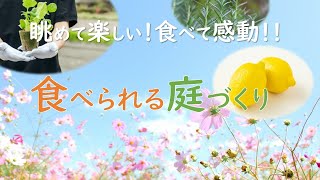 眺めて楽しい！食べて感動！！食べられる庭づくり｜神奈川県湘南近くの園芸屋さん 木村植物園