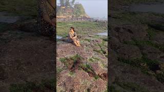 हमारे गांव का तालाब||😄😄#trending#viral #youtubeshorts#fishing