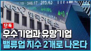 [단독] 밸류업 지수 2개로 늘린다…대형사 ETF 쏠림 우려는 여전/한국경제TV뉴스