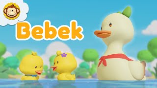 Lima Ekor Bebek 🦆 Menghitung Bebek | Lagu Anak Indonesia | BaLiTa #babalilitata #bebek