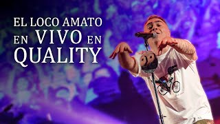 El Loco Amato - Quality Arena 2023