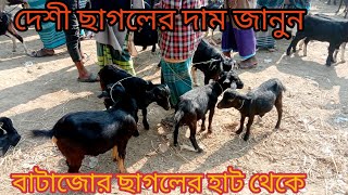 দেশী ছাগলের দাম জানুন বাটাজোর ছাগলের হাট থেকে #goat#animal #