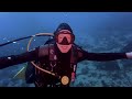 diving with schmoopies