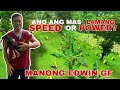 Yellow Legged Hatch | Manong Edwin GF