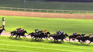 DWCC Meydan Racecourse 7-1-16, Race 5 Longines Master Collection