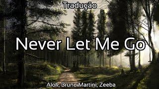 Alok, Bruno Martini, Zeeba - Never Let Me Go (TRADUÇÃO)