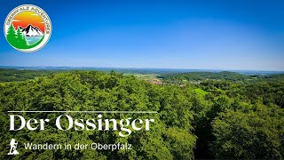 Der Ossinger und Felsensteig bei Königstein, Wandern in der Oberpfalz