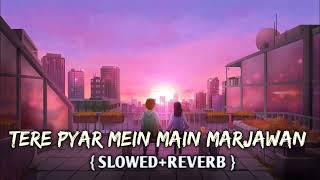 Hame Na Bhulana (Slowed & Reverb)❤️Tere Pyar Mein Main Marjawan | Trending Lofi
