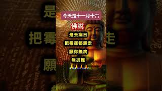 #南無阿彌陀佛🙏有緣人🙏今天是十一月十六，佛說：是丟病日，把霉運都趕走！願你無病無災難，平安健康相伴❤️願你所求皆如願🙏為家人祈福接好運🙏#祝福 #正能量