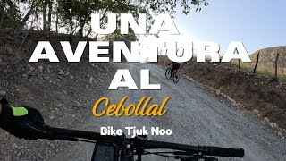 una aventura al cebollal