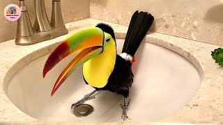 No One Expected This Toucan to Act Like This After Being Rescued