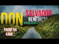 VIEWS AND ROAD TOUR FROM DON SALVADOR BENEDICTO GOING BACK TO BACOLOD CITY