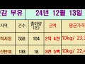 12월 샤인머스켓 끝없는 가격하락 단감가격 저렴 부사 상승 경락가