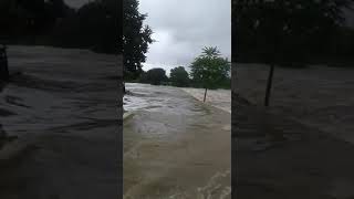 Karlajuri jor re batya 12.8.2019