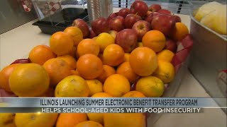 Illinois launching electronic benefit transfer program