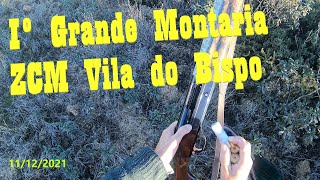 1ª Grande Montaria 2021/22 da Vila do Bispo. Muitos Javalis numa mancha enorme com ~ 120 portas.