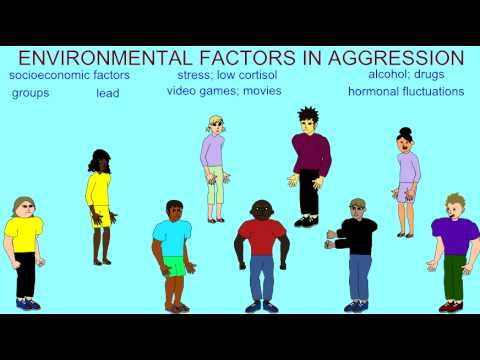 How environment affects aggression?