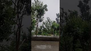 पहाड़ों की मौसम #barish#weather#uttrakhand#chamoliuttarakhand#nature#happieness#sukoon