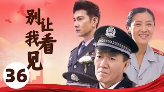 侦破 |【别让我看见】36 | 一场与犯罪分子的较量 | 主演: 李幼斌/李歌/何明翰