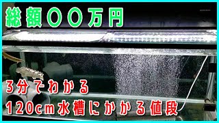 【アクアリウム】120cm古代魚水槽の設備の値段を紹介します