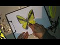 rəsm kəpənək necə Çəkilir how to draw butterfly