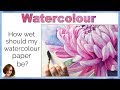 How Wet Should my Watercolour Paper be? // Controlling the water on watercolour paper 💦