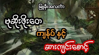 မုဆိုး ဖိုးတေ ကျန်ုပ် နှင့် ဆားကျင်းစောင့် အမဲပစ်ခတ်ခြင်း - စဆုံး