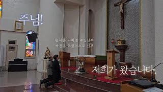 새 신부님 오신 날 | 마산교구 반송성당 | 25년 1월 17일