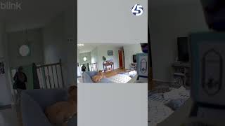 Serial burglar caught on camera inside Maryland home