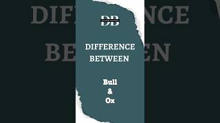 Difference Between Bull and Ox | Discover the Distinctions Between a Bull and an Ox