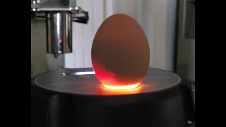 Candling Chicken Eggs – Day 14! Using the KEBONNIXS 12 Egg Incubator. Is it still worth it?