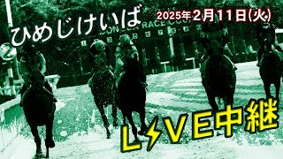 ひめじけいばライブ 2025/2/11