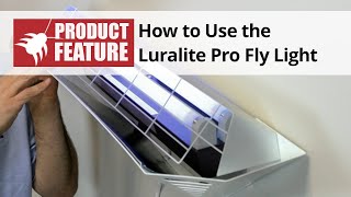 How to Use the Luralite Pro Fly Light