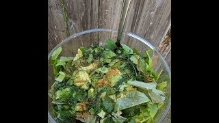 Amazing homegrown salad recipe