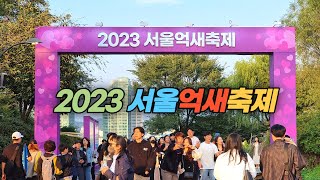 은빛 물결로 넘실대는 2023 서울억새축제 현장 Seoul Silver Grass Festival