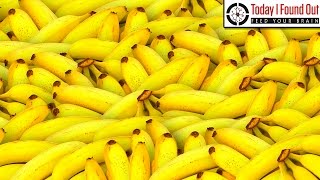 How to Easily Keep a Banana Perfectly Ripe For A Week