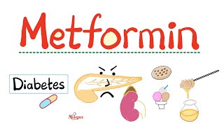 Metformin - Mechanism of Action - Side effects - Toxicity - Endocrine Pharmacology