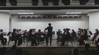 [Tchaikovsky - Serenade for String Orchestra, Op. 48 – II. Valse] ㅣ 2024-2 향상음악회