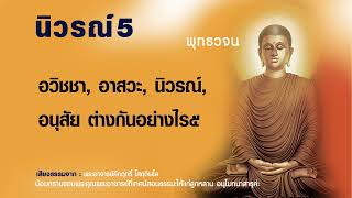 อวิชชา | อาสวะ | นิวรณ์ | อนุสัย ต่างกันอย่างไร