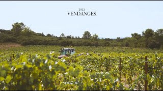 Vendanges 2022 - Château Gilbert \u0026 Gaillard