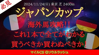 【 海外馬 】ジャパンカップ 2024 予想 海外馬攻略！これ1本で全てがわかる！買うべきか買わぬべきか！【中央競馬予想】