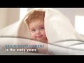 Brain development in the early years