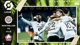 Montpellier 2 - 3 Lille - HIGHLIGHTS & GOALS - 12/23/2020