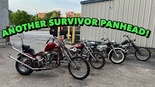 We found a panhead chopper survivor!