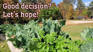 What grows in October if you remember to sow in summer?  Kitchen Garden Tour & Strawberry Surprise