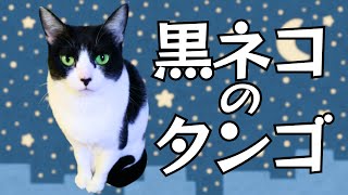 ベース弾き語り 介護士まろ 黒ネコのタンゴ 皆川おさむ・カバー/Kuroneko No Tango/Black Cat Tango/Osamu Minagawa/cover