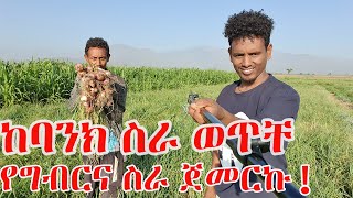 ባንክ ተቀጥሮ መስራት ወይስ የግብርና ስራ ?