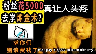 粉丝想花5000¥去学炼金术？拜托你们看完这个视频，别花冤枉钱了